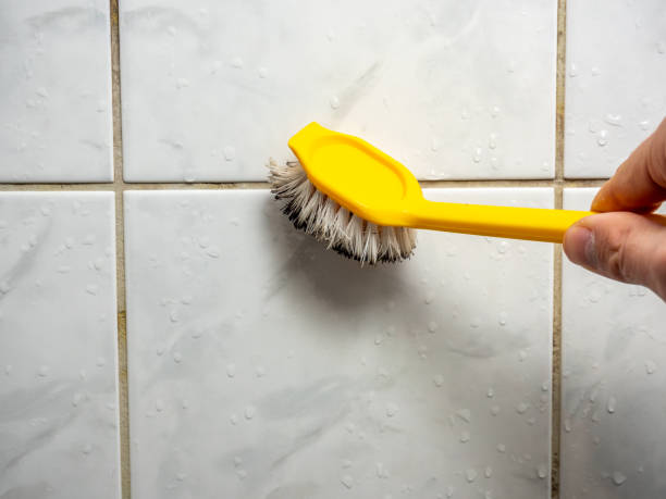 Best Professional Mold Removal  in Portage, WI