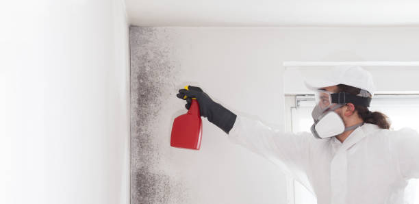 Home Mold Removal in Portage, WI